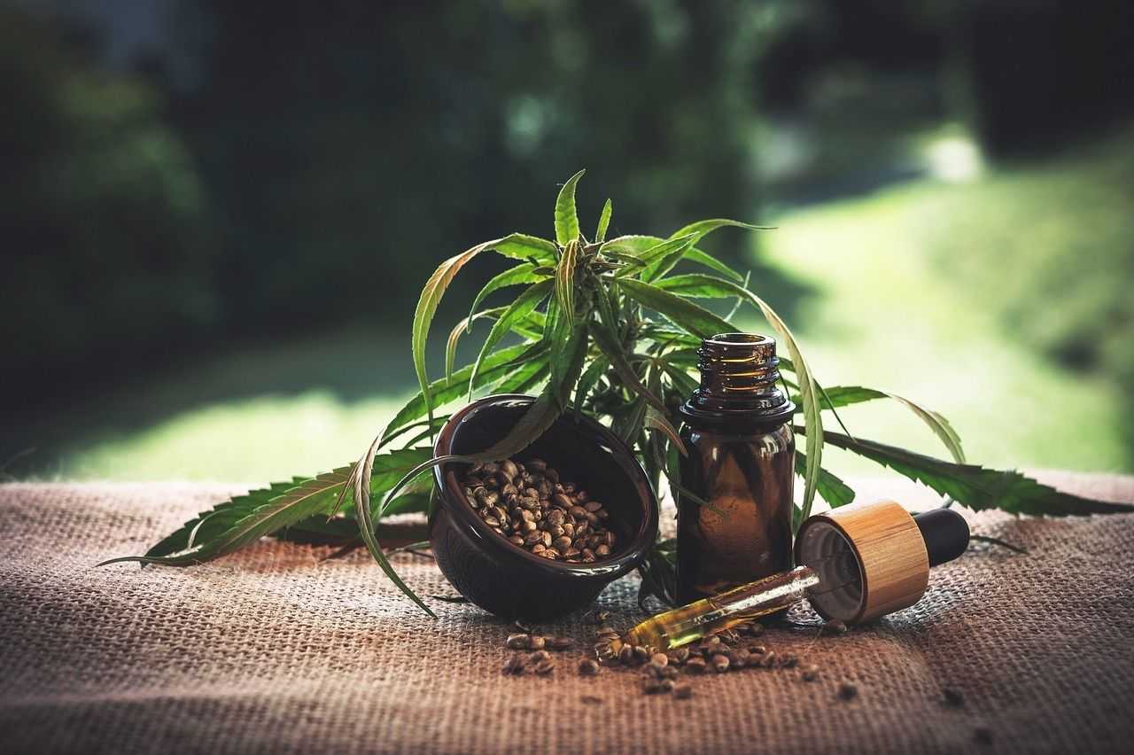 Aceite de CBD: Legalidad, Usos y Beneficios para la Salud